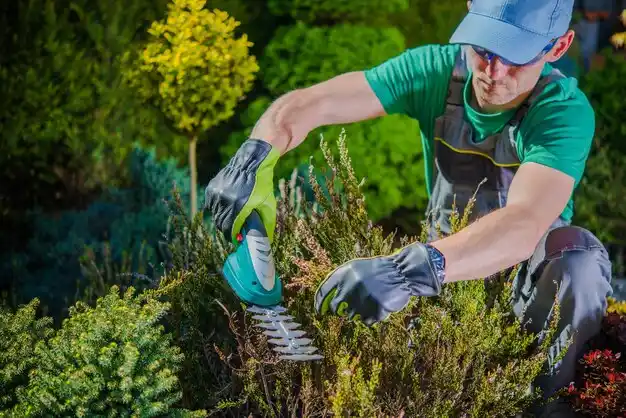 landscaping services Chelsea